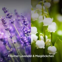 Airwick Raumduft Duftspray, 237 Ml, Geruchsneutralisierend, Lavendel & Maiglöckchen -Heimladen 0bcfc7788d6365d46cb9ed0ed7beddc3442c879e raumduft airwick duftspray 237 ml