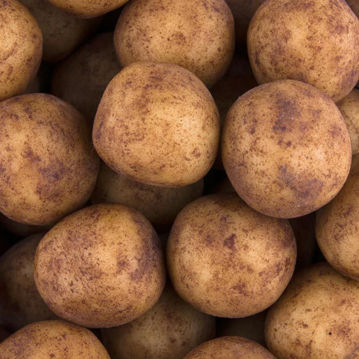 Zentis Marzipan Marzipan-Kartoffeln, In Einer Wiederverschließbaren Dose, 500g 3 Zentis Marzipan Marzipan-Kartoffeln, In Einer Wiederverschließbaren Dose, 500g – Bild 3