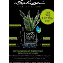 Lechuza Übertopf QUADRO LS 43 Rot Hochglanz, 43 X 43 X 39 Cm, Quadratisch, Kunststoff -Heimladen b90d0ca01b8edd50697eeb86d2e5869dbc56910d uebertopf lechuza quadro ls 43 rot hochglanz